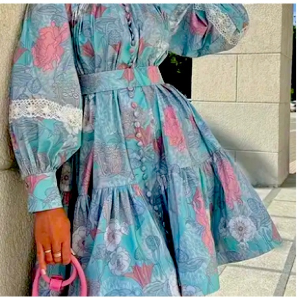 Floral Print Dress, Front Button, Long Sleeve - Picture 1 of 2